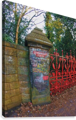 Strawberry Fields Forever Canvas Print