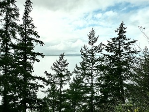 Larrabee State Park 2