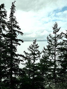 Larrabee State Park 1