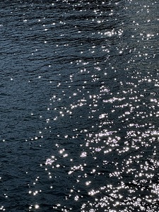 Water Shines