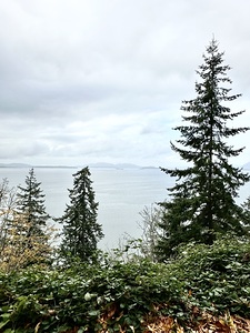 Larrabee State Park 4