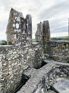 Blarney Castle Crenellaations Ireland