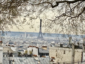 Paris View