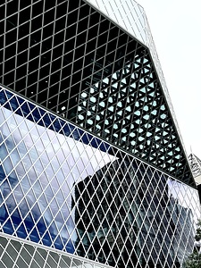 Seattle Central Library Details