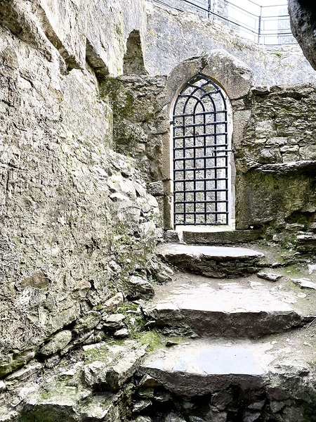 Blarney Castle Door Ireland Print