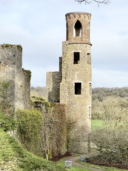 Blarney Castle Tower Ireland Print
