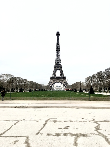 Eiffel Tower in Paris France Print