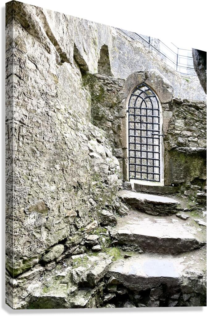 Blarney Castle Door Ireland Canvas Print