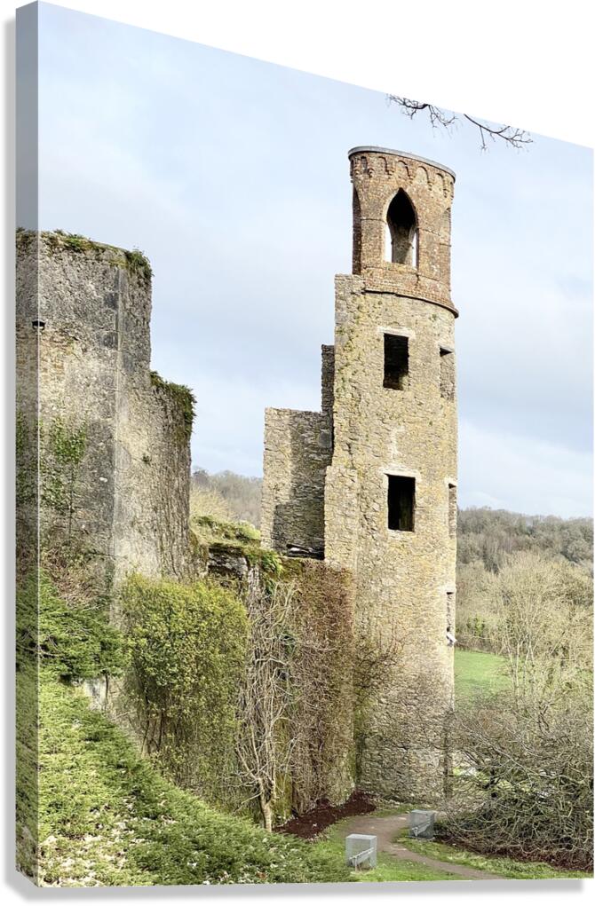 Blarney Castle Tower Ireland Canvas Print