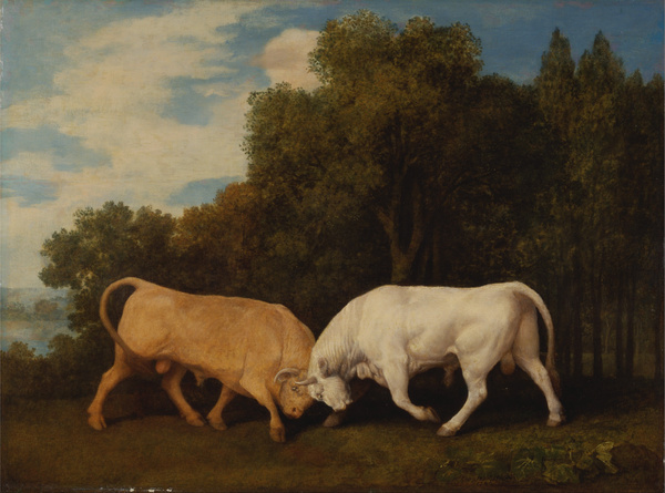 Bulls Fighting-George Stubbs  by Goldfishwallart