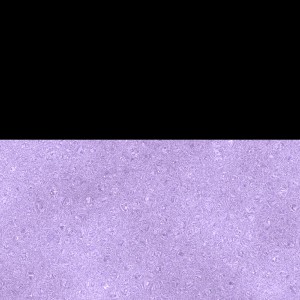 ABSTRACT PURPLE GLITTER Print