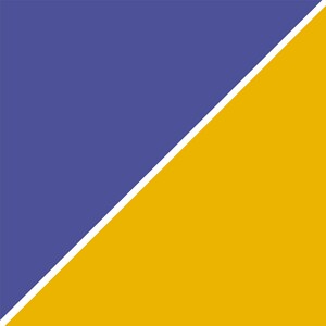Grape and Yellow Abstract
