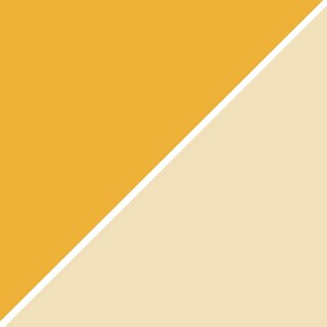 Honey and Vanilla Custard Abstract