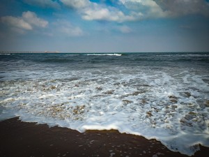 Seashore Vibes