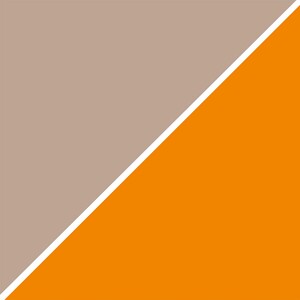 Mocha and Tangerine Abstract