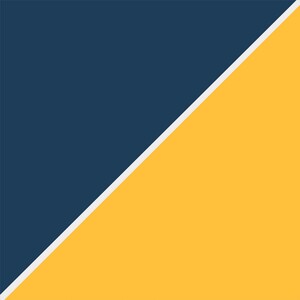 Navy and Mango Abstract