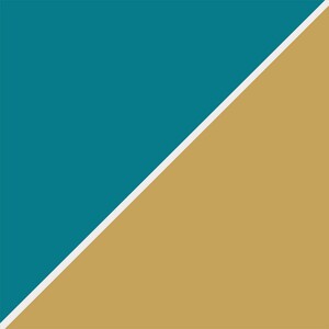 Navy and Orche Abstract