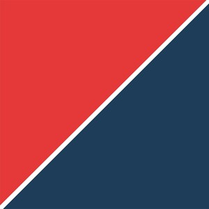 Red and Navy Abstract