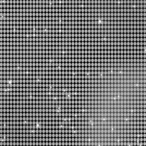 Silver Shiny Glitter