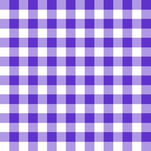Purple Plaid Pattern