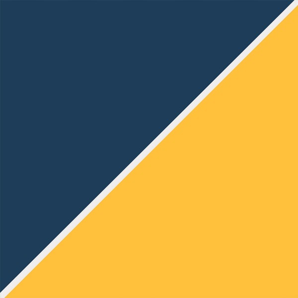 Navy and Mango Abstract Print
