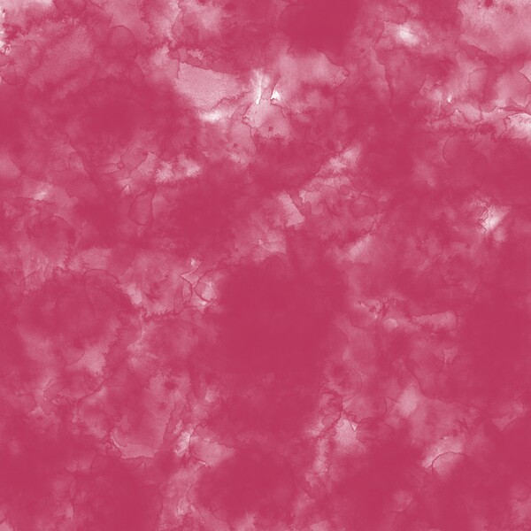 Rose Red Print