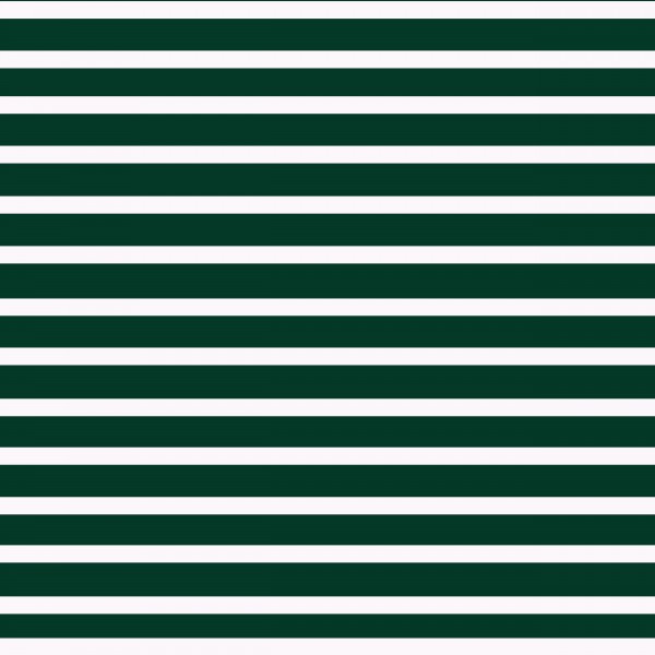SACRAMENTO Stripes Print