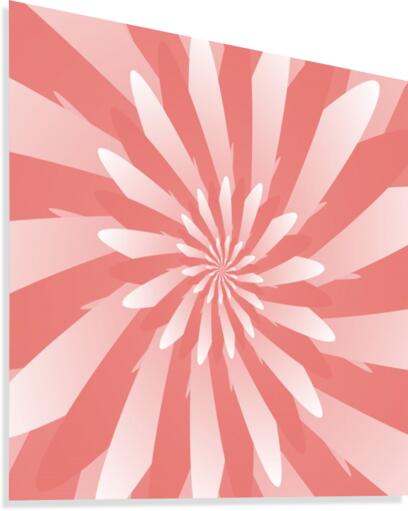 Flower Spiral Pattern  Canvas Print