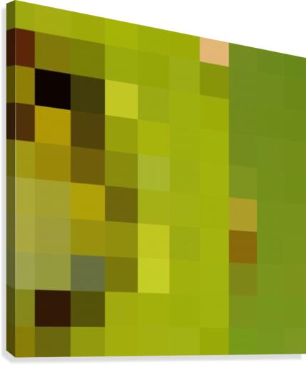 KIWI MOSAIC PATTERN Canvas Print