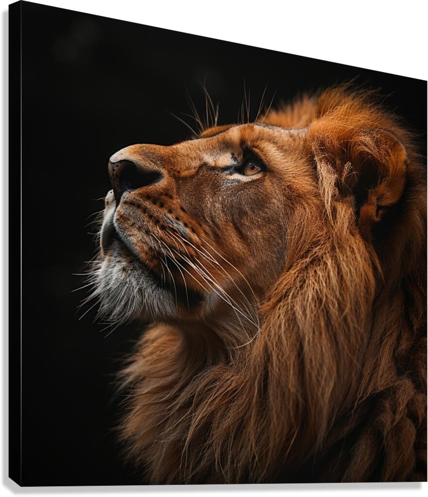 Glorious Lion Canvas Print