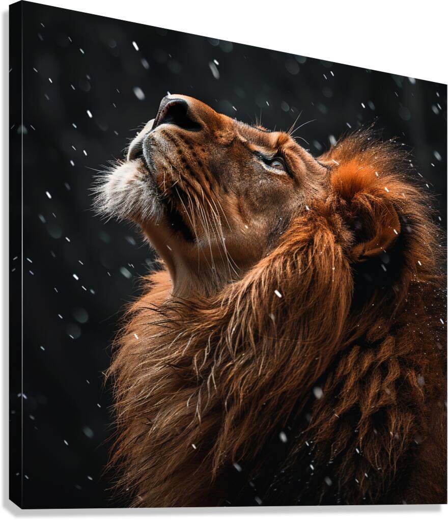 Fierce Lion Canvas Print