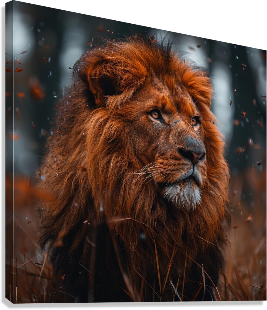 Wild King Canvas Print