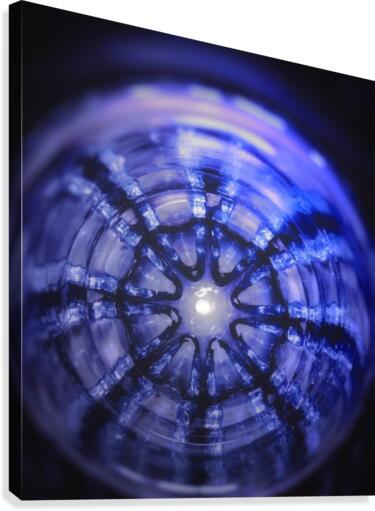 Lucky Reflection Canvas Print