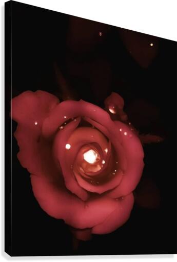 Lighting Rose Canvas Print