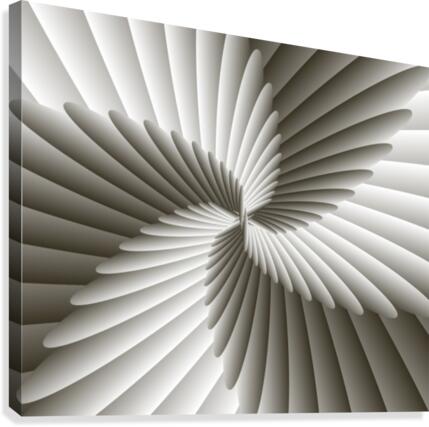 Angel Wings Canvas Print