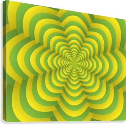 Petals Canvas Print
