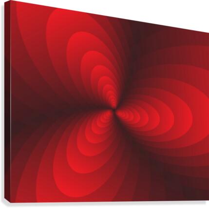 Spiral loop Wings Canvas Print