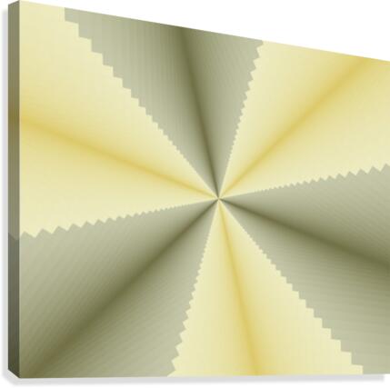 LOOP Canvas Print