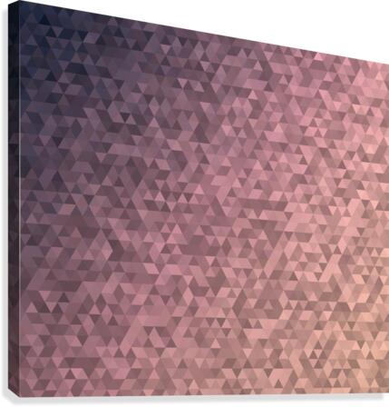 Pink Modern Geometric Pattern Canvas Print
