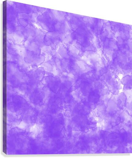 Blue Violet Canvas Print