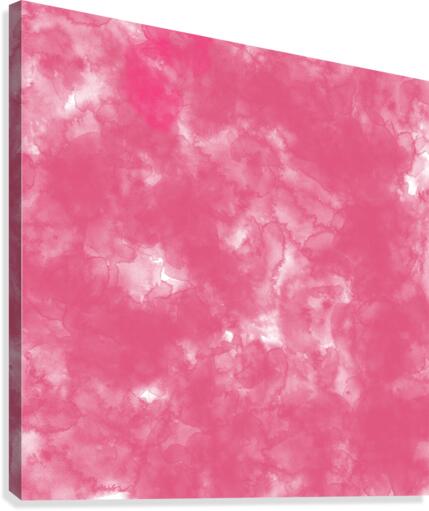 Blush Canvas Print