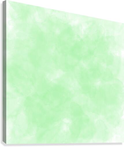 Light Green Canvas Print