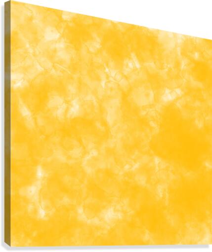 Mango Canvas Print