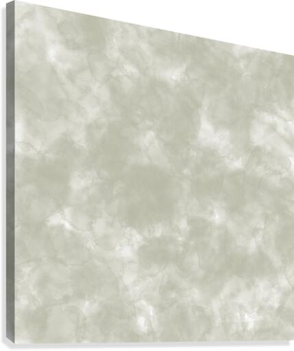 Ash Gray Canvas Print