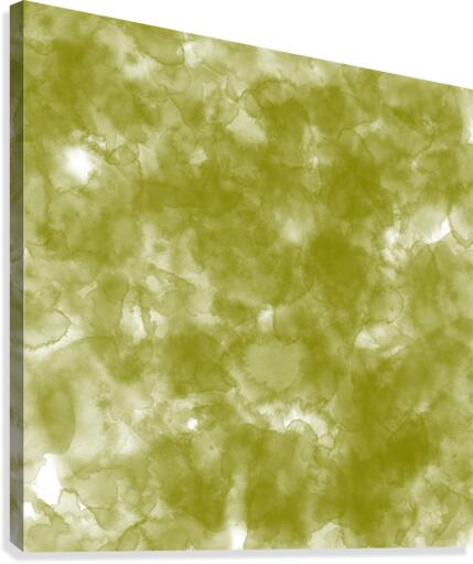 Olive Canvas Print