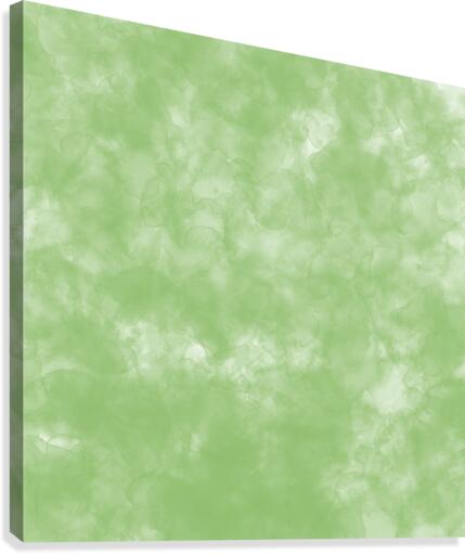 Pistachio Canvas Print