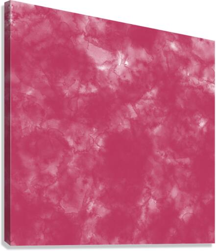 Rose Red Canvas Print