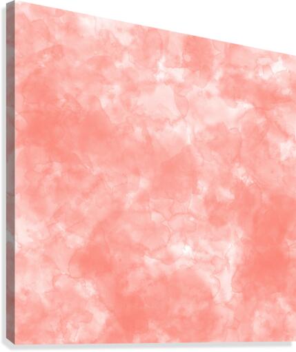 Salmon Canvas Print