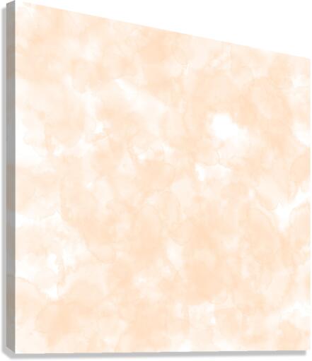Peach Canvas Print