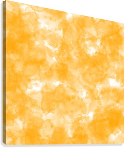 Orange Canvas Print